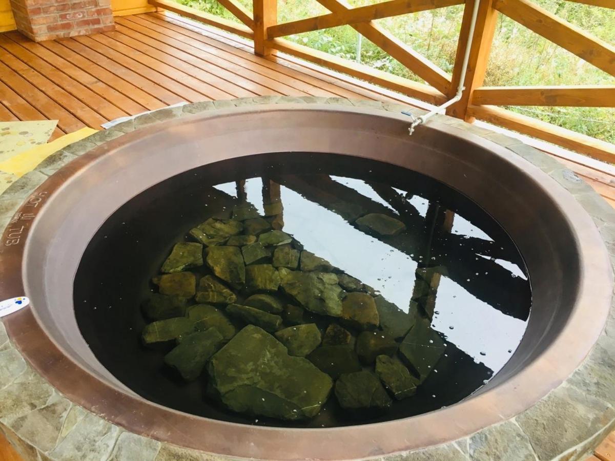 Baza Vidpochynku Ilz Villa Slavske Exterior foto