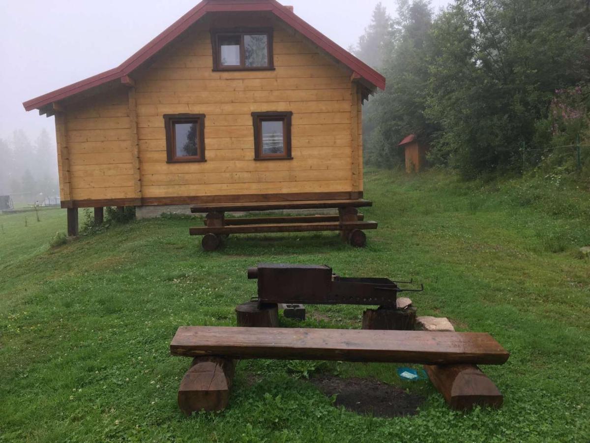 Baza Vidpochynku Ilz Villa Slavske Exterior foto