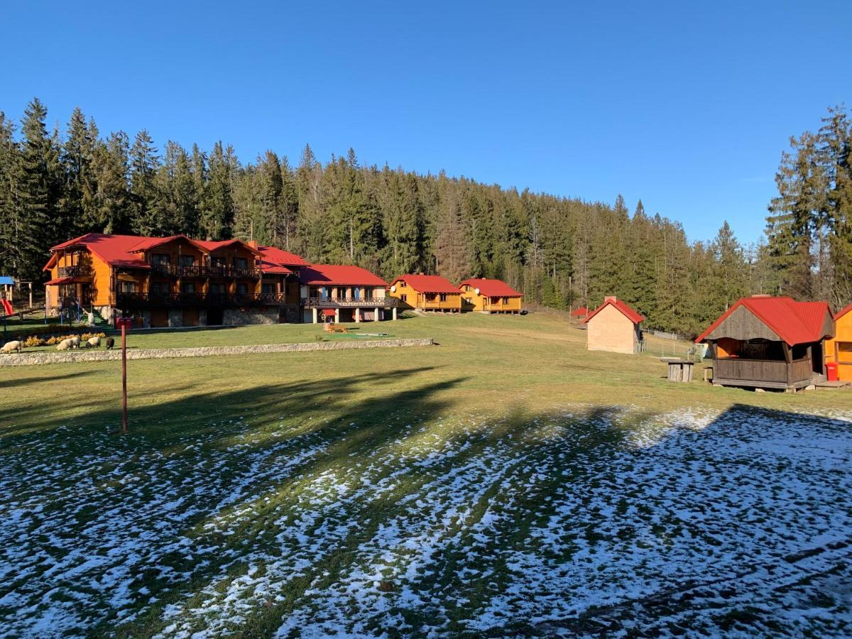Baza Vidpochynku Ilz Villa Slavske Exterior foto