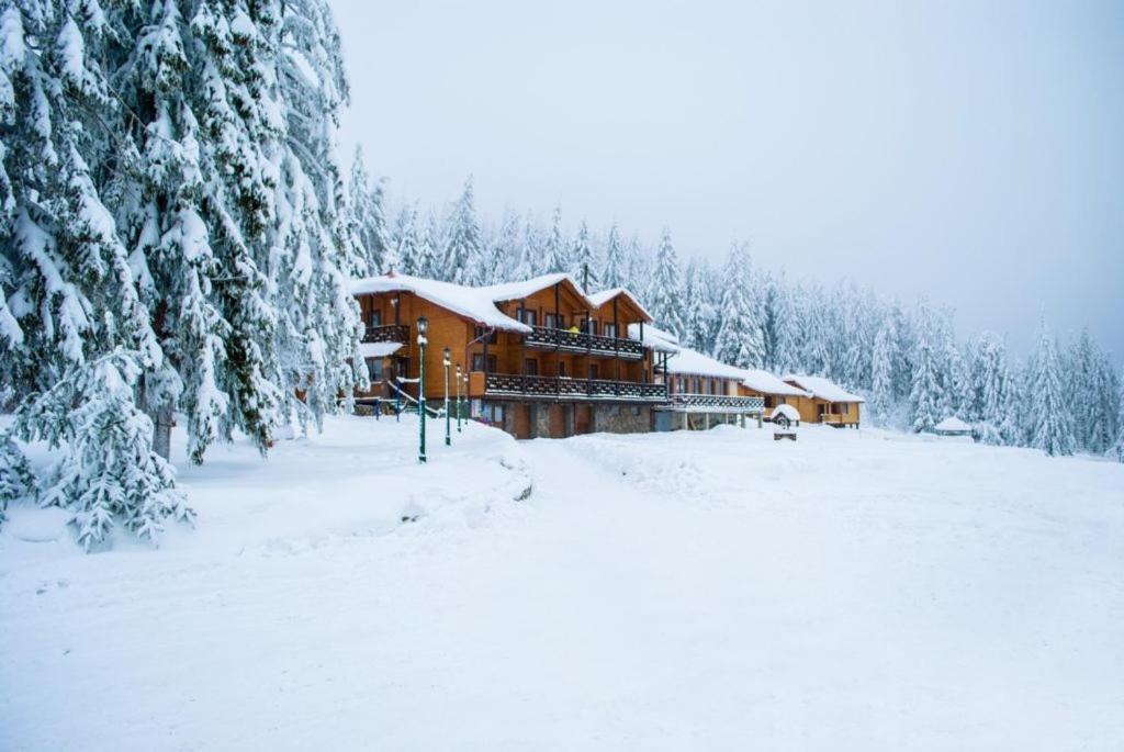 Baza Vidpochynku Ilz Villa Slavske Exterior foto
