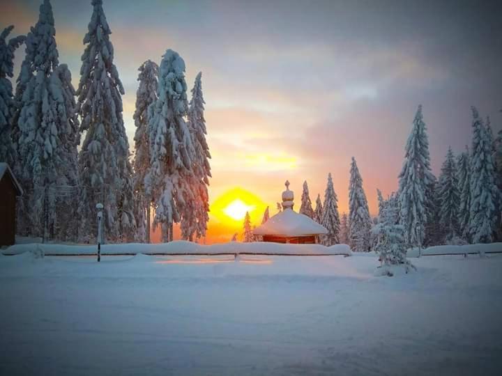 Baza Vidpochynku Ilz Villa Slavske Exterior foto